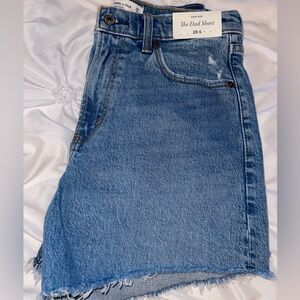 Abercrombie Dad Shorts